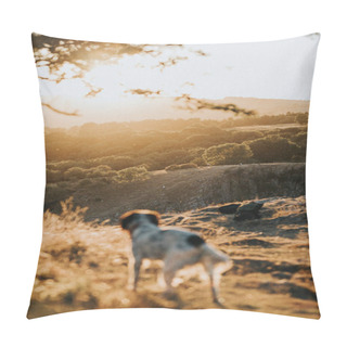 Personality  Puppy Strolling Outdoor In A Countryside Pillow Covers