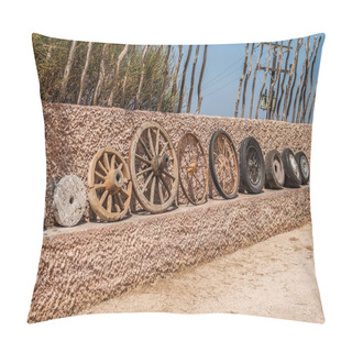 Personality  Evolution Of Wheels Pillow Covers