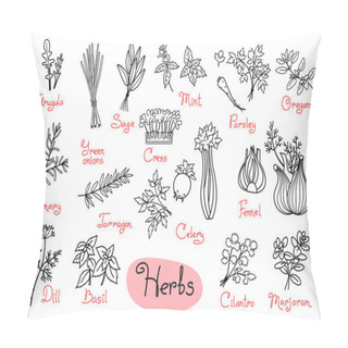 Personality  Set Drawings Of Herbs Used In Cooking For Design Menus, Recipes And Packages Product Pillow Covers