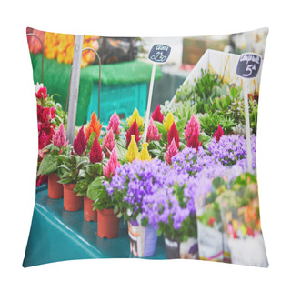 Personality  Celosia Flowers On Farmer Market In Paris, France. Typical European Flower Shop Pillow Covers