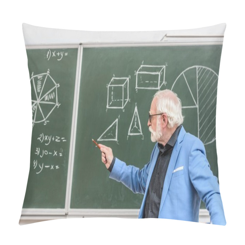 Personality  grey hair professor pointing on something with pencil on blackboard pillow covers