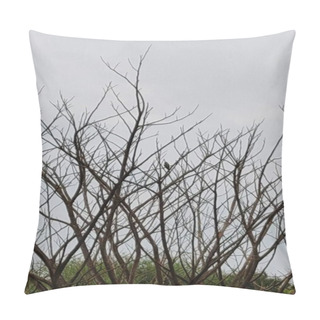 Personality  A Bare Tree Branch Reaches Into The Vast Expanse Of A Cloudy Sky Pillow Covers