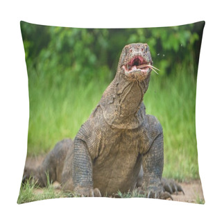 Personality  The Komodo Dragon  Varanus Komodoensis  Raised The Head With Open Mouth. It Is The Biggest Living Lizard In The World. Island Rinca. Indonesia. Pillow Covers