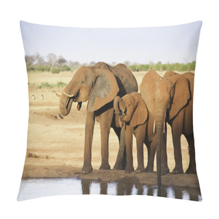 Personality  Elephant Pillow Covers