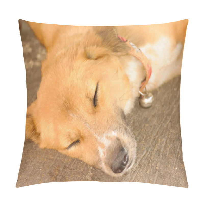 Personality  The dog sleep pillow covers