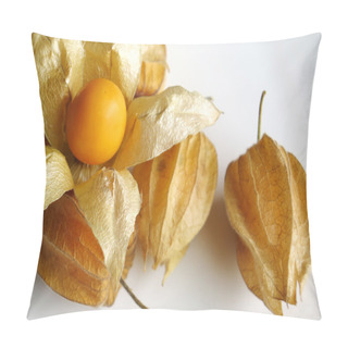 Personality  Aguaymanto, Peruvian Fruit Pillow Covers