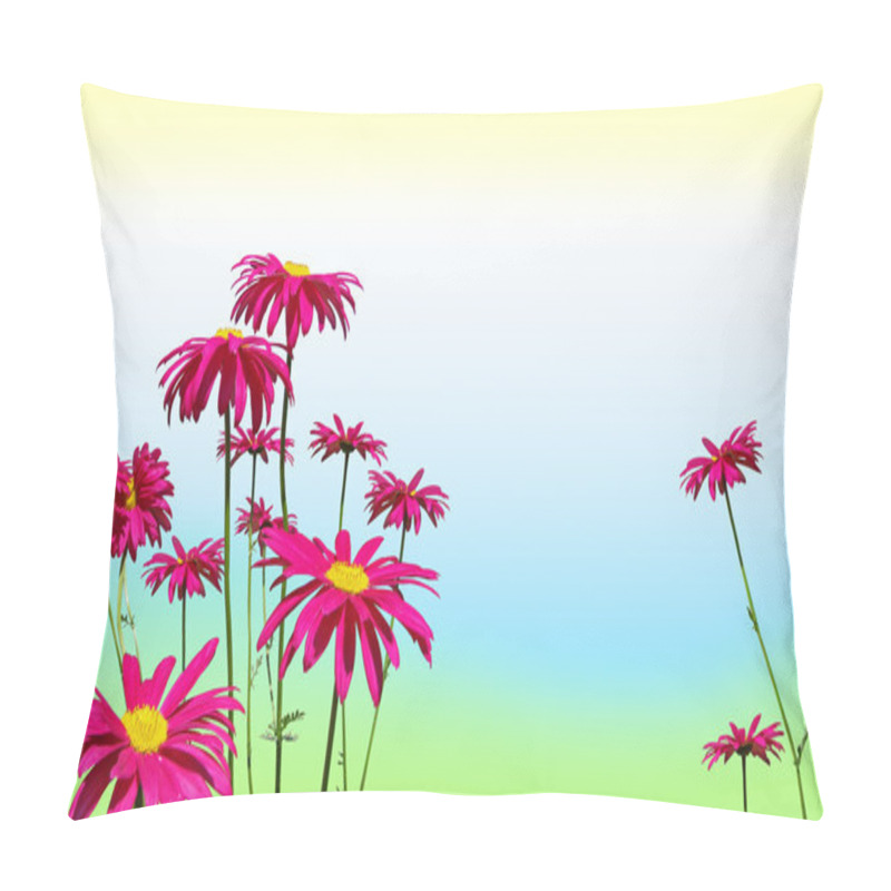 Personality  Pink Daisy Flowers On Pastel Colors Pillow Covers