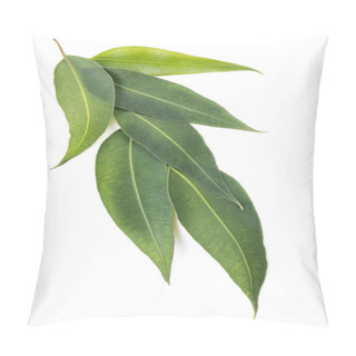 Personality  Eucalyptus Leaves Isolated On White Pillow Covers
