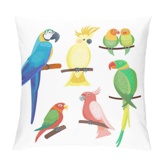 Personality  Cartoon Tropical Parrot Wild Animal Bird Vector Illustration Wildlife Feather Zoo Color Nature Vivid. Pillow Covers