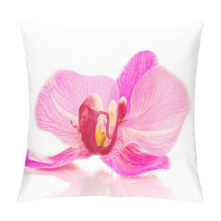 Personality  Beautiful Orchid Flower Isolated On White Pillow Covers