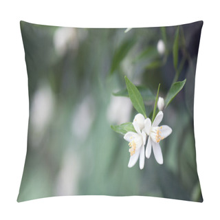 Personality  Citrus Flowers Pillow Covers