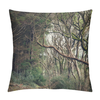 Personality  Twisted Trees In The Wood At Ladock Cornwall England Uk  Pillow Covers