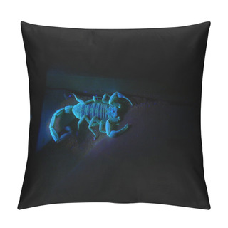 Personality  Scorpion Under Ultraviolet Light 2 Pillow Covers
