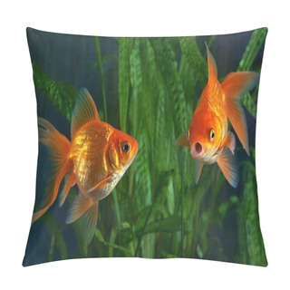 Personality  Goldfish, Aquarium, A Fish On The Background Of Aquatic Plants Pillow Covers