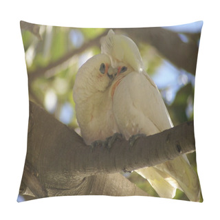Personality  Little Corella Couple In Courtship Pillow Covers