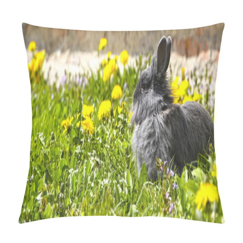 Personality  Fluffy gray rabbit on the grass pillow covers