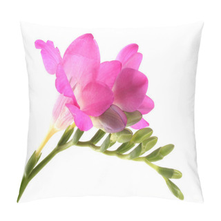Personality  Beautiful Freesia Flower, Isolated On White Pillow Covers