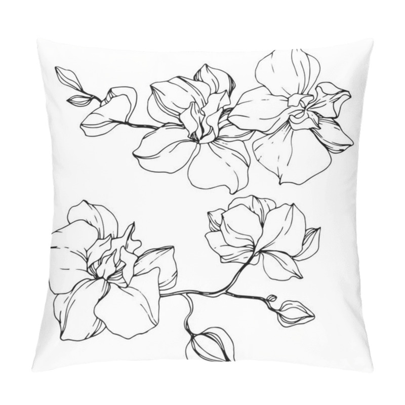 Personality  Beautiful orchid flowers. Black and white engraved ink art. Isolated orchids illustration element on white background. pillow covers