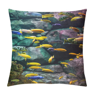 Personality  Fishes. Pillow Covers