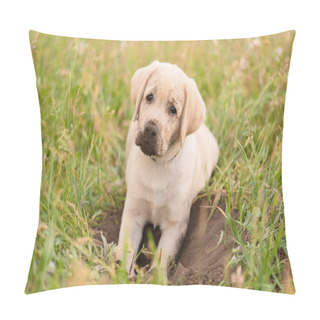 Personality  Dirty Labrador Retriever Puppy Relaxing After Dig In The Garden Pillow Covers