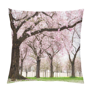 Personality  Blossoming Cherry Trees With Dreamy Feel Pillow Covers
