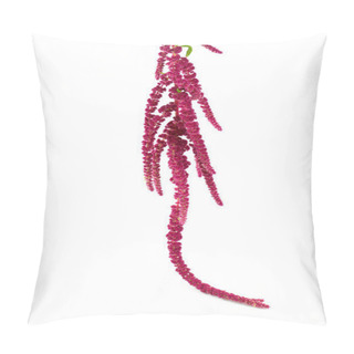 Personality  Amaranth Flower Isolated On White Pillow Covers