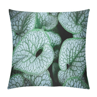 Personality  Minimalist Composition With Leaves Of Brunnera Macrophylla Pillow Covers