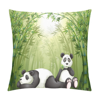 Personality  Two Pandas In The Bamboo Forest Pillow Covers
