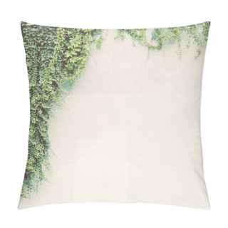 Personality  Ivy Plant On White Wall Pillow Covers