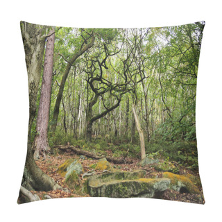 Personality  Scenic View Of Green Spring Woodland  Pillow Covers