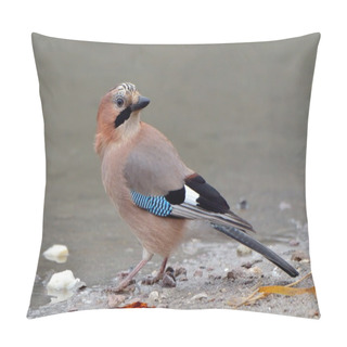 Personality  Jay In Natural Habitat (Garrulus Glandarius) Pillow Covers