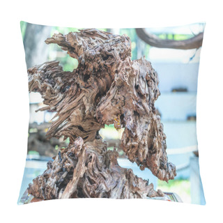 Personality  Dry Driftwood Of Coniferous Tree, Old Weathered Relief Wood Pillow Covers