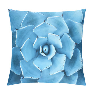 Personality  Sharp Pointed Agave Plant Leaves Pillow Covers