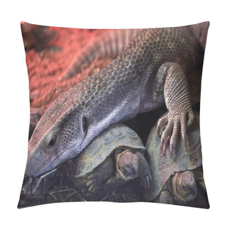 Personality  Reptiles Pillow Covers