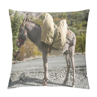 Personality  Donkey Pillow Covers
