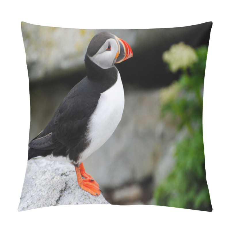 Personality  Watch Guard Puffin Pillow Covers