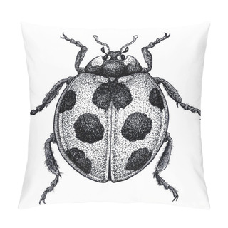 Personality  Ladybug Tattoo Art. Ladybird Illustration. Lady Beetle Tattoo. Coccinellidae. Dot Work Tattoo. Insect Drawing. Pillow Covers