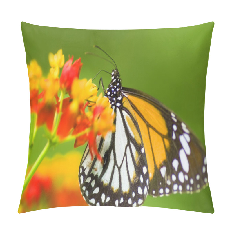 Personality  Monarch butterfly feeding on flower pillow covers