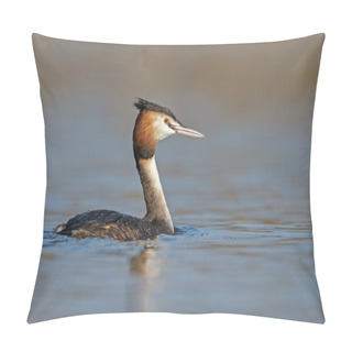 Personality  Great Crested Grebe, Waterbird Pillow Covers