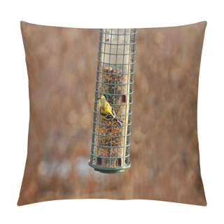 Personality  American Gold Finch Feeding In Early Spring Pillow Covers