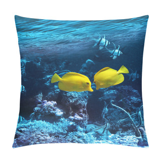 Personality  Two Yellow Tropical Fishes Pillow Covers