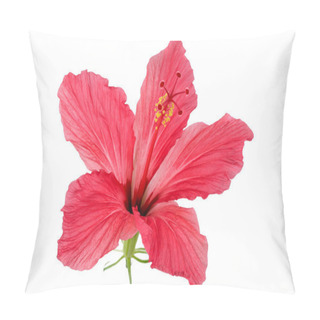 Personality  Red Flower Hibiscus Syrian Rose Close Up Isolated On White Background Macro Photography Pillow Covers