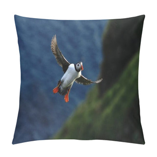 Personality  Atlantic Puffin With Small Fish In Its Beak Flying Against Dark Blue Sea And Cliffs. Close Up Photo. Wild Bird With Colourful Beak And Outstretched Wings, Sandeels, Norway Pillow Covers