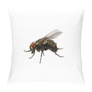 Personality  Fly On A White Pillow Covers