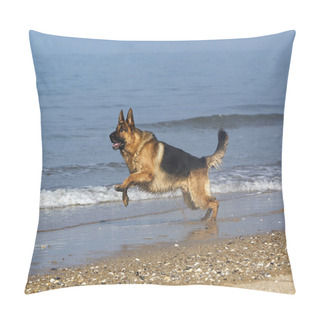 Personality  German Shepherd, Male Running On Beach In Normandy   Pillow Covers