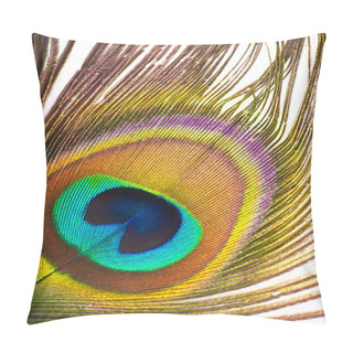 Personality  Beautiful Exotic Peacock Feather Pillow Covers