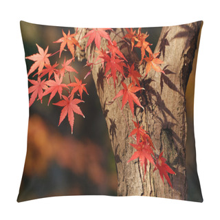 Personality  Autumnal Maple Tree Pillow Covers