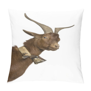 Personality  Close-up Headshot Of Rove Goat, 4 Years Old, Standing In Front Of White Background Pillow Covers