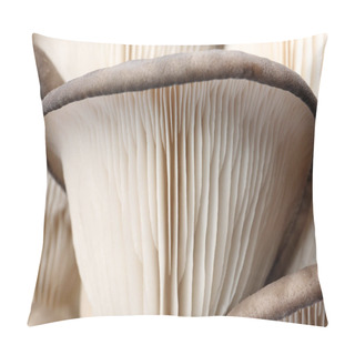 Personality  Delicious Organic Oyster Mushrooms As Background, Closeup Pillow Covers