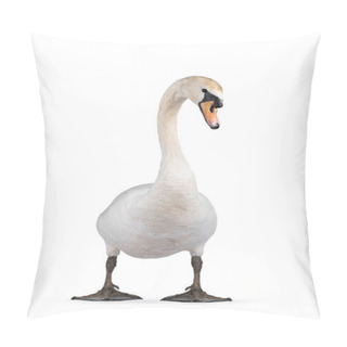 Personality  Beautiful Male White Mute Swan, Standing Facing Front. Looking To Camera. Head In Curve. Isolated On White Background. Pillow Covers